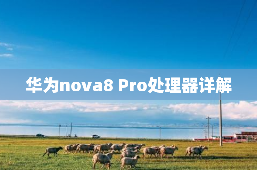 华为nova8 Pro处理器详解