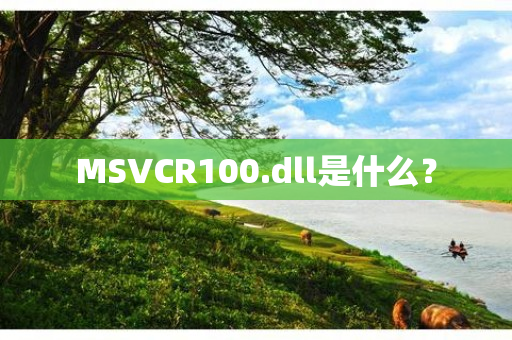 MSVCR100.dll是什么？