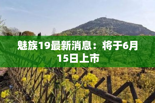 魅族19最新消息：将于6月15日上市