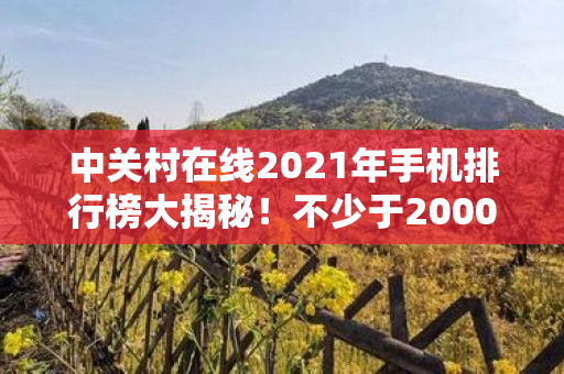 中关村在线2021年手机排行榜大揭秘！不少于2000字