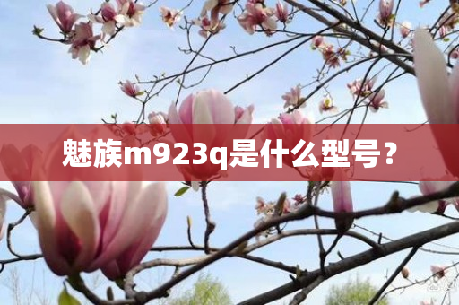 魅族m923q是什么型号？