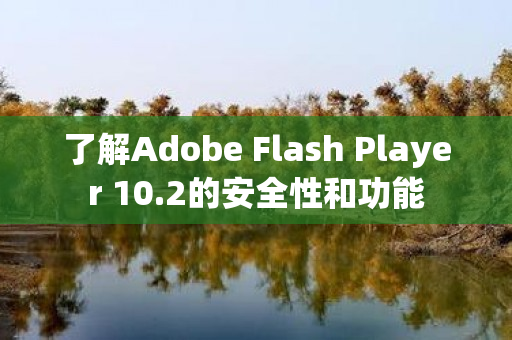 了解Adobe Flash Player 10.2的安全性和功能