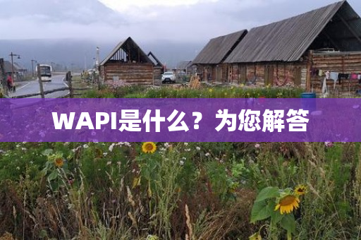 WAPI是什么？为您解答