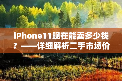 iPhone11现在能卖多少钱？——详细解析二手市场价格走势