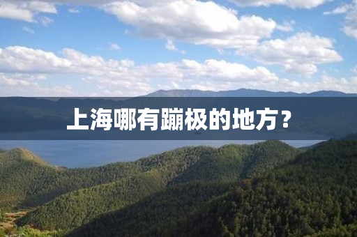 上海哪有蹦极的地方？