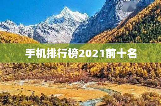 手机排行榜2021前十名