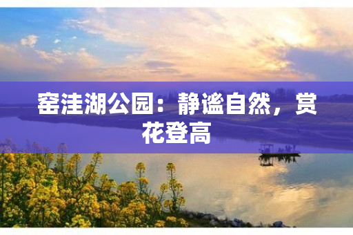 窑洼湖公园：静谧自然，赏花登高