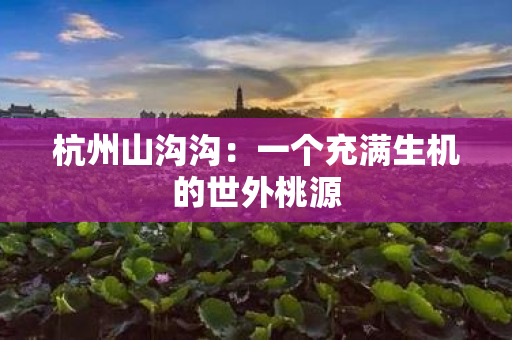 杭州山沟沟：一个充满生机的世外桃源