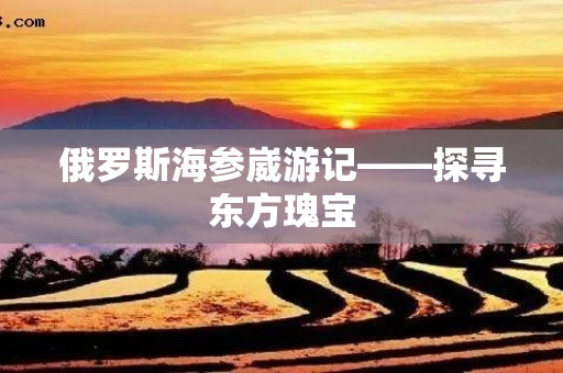 俄罗斯海参崴游记——探寻东方瑰宝