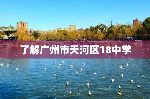 了解广州市天河区18中学