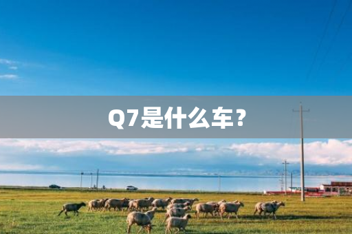 Q7是什么车？