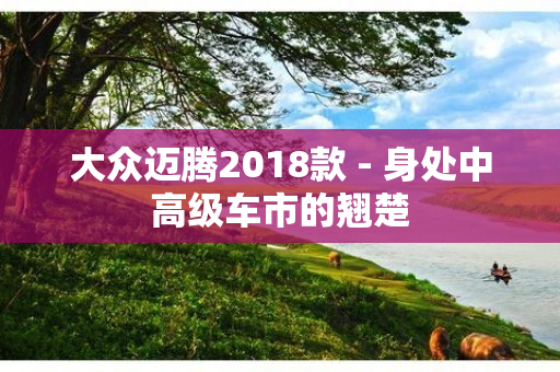 大众迈腾2018款 - 身处中高级车市的翘楚