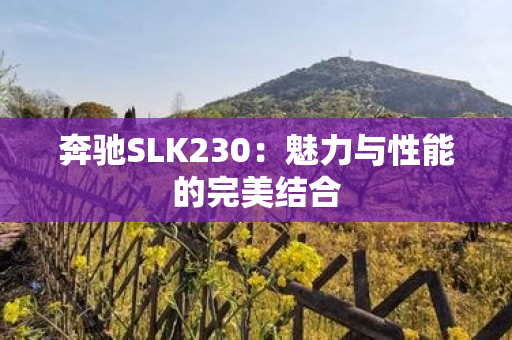 奔驰SLK230：魅力与性能的完美结合