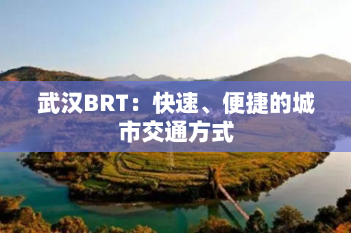 武汉BRT：快速、便捷的城市交通方式