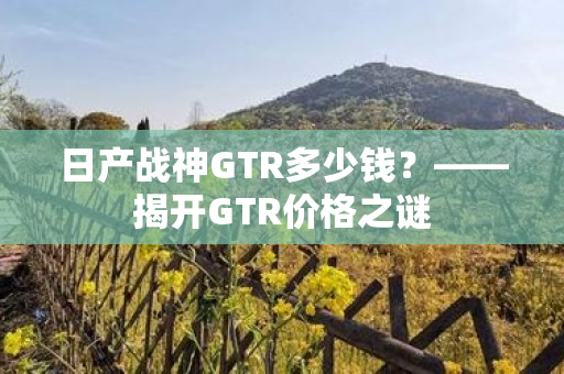 日产战神GTR多少钱？——揭开GTR价格之谜