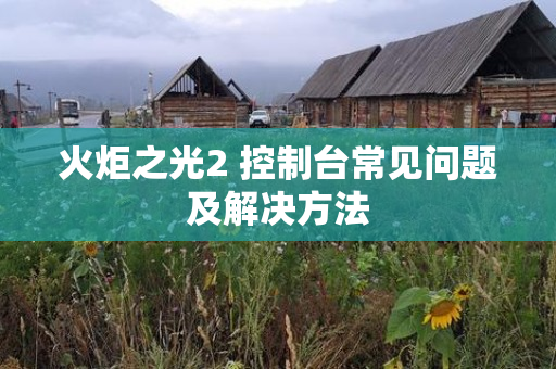 火炬之光2 控制台常见问题及解决方法