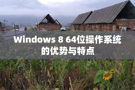 Windows 8 64位操作系统的优势与特点