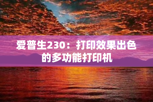 爱普生230：打印效果出色的多功能打印机