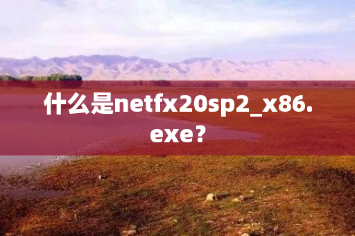 什么是netfx20sp2_x86.exe？