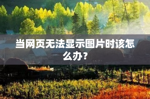 当网页无法显示图片时该怎么办？