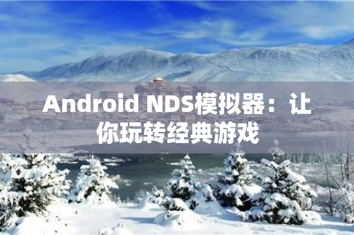 Android NDS模拟器：让你玩转经典游戏