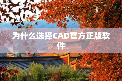 为什么选择CAD官方正版软件