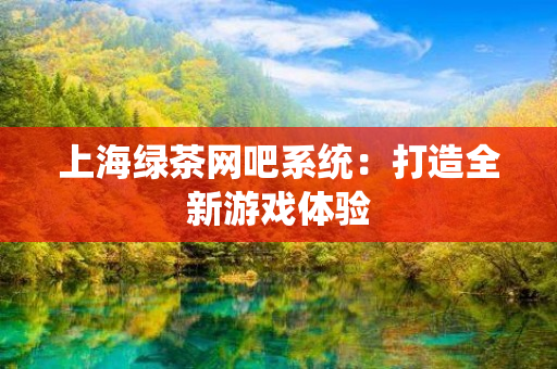 上海绿茶网吧系统：打造全新游戏体验