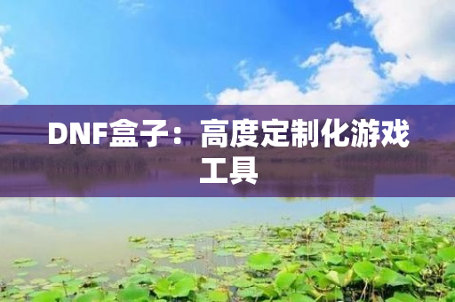 DNF盒子：高度定制化游戏工具