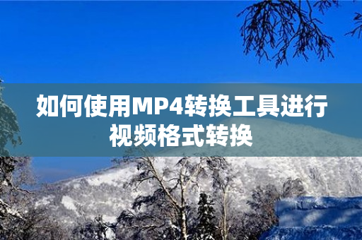 如何使用MP4转换工具进行视频格式转换