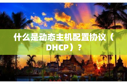 什么是动态主机配置协议（DHCP）？