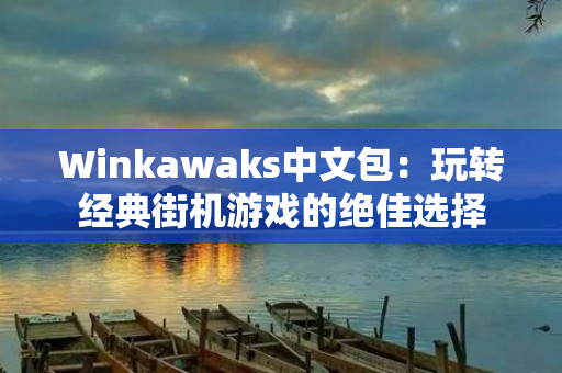 Winkawaks中文包：玩转经典街机游戏的绝佳选择