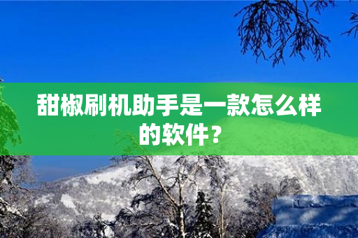 甜椒刷机助手是一款怎么样的软件？