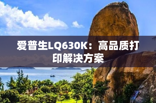 爱普生LQ630K：高品质打印解决方案