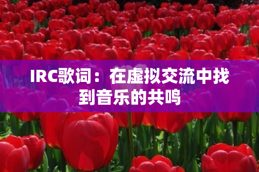 IRC歌词：在虚拟交流中找到音乐的共鸣