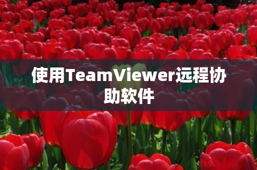 使用TeamViewer远程协助软件