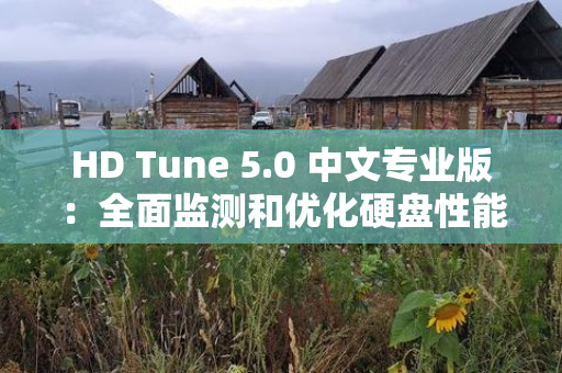 HD Tune 5.0 中文专业版：全面监测和优化硬盘性能