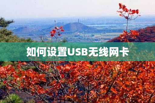 如何设置USB无线网卡