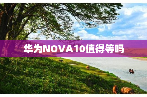 华为NOVA10值得等吗