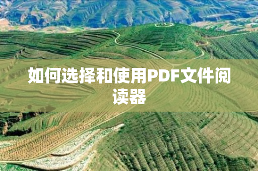 如何选择和使用PDF文件阅读器