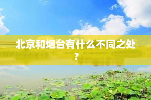 北京和烟台有什么不同之处？