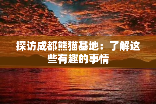 探访成都熊猫基地：了解这些有趣的事情