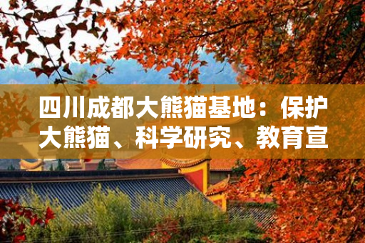 四川成都大熊猫基地：保护大熊猫、科学研究、教育宣传的重要基地