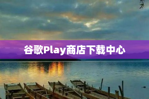 谷歌Play商店下载中心