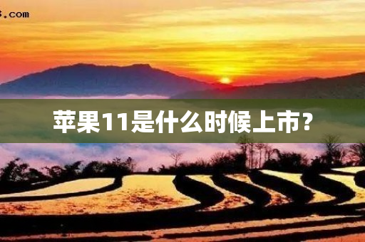 苹果11是什么时候上市？