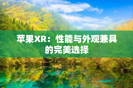 苹果XR：性能与外观兼具的完美选择