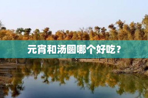 元宵和汤圆哪个好吃？