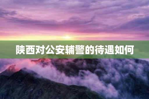 陕西对公安辅警的待遇如何