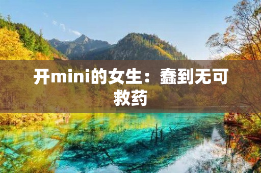 开mini的女生：蠢到无可救药