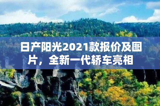 日产阳光2021款报价及图片，全新一代轿车亮相