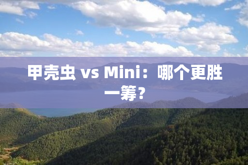 甲壳虫 vs Mini：哪个更胜一筹？